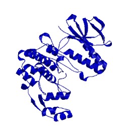 Image of CATH 5etf