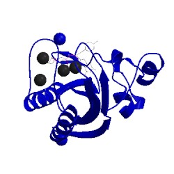 Image of CATH 5etm