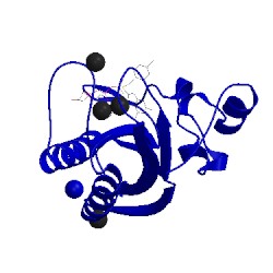 Image of CATH 5etn