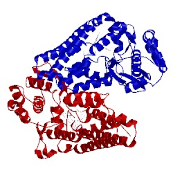 Image of CATH 5etw