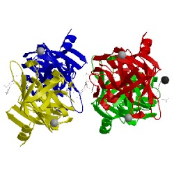 Image of CATH 5etx