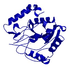 Image of CATH 5eug