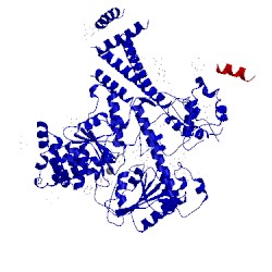 Image of CATH 5eul