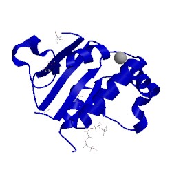 Image of CATH 5eus