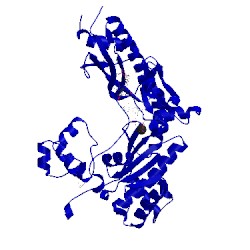 Image of CATH 5ewf