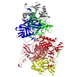 Image of CATH 5ex1