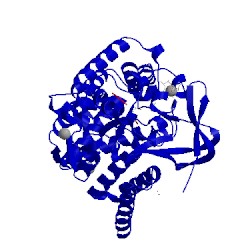 Image of CATH 5ex3