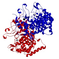 Image of CATH 5ex4