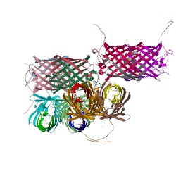 Image of CATH 5exc