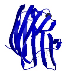 Image of CATH 5exo
