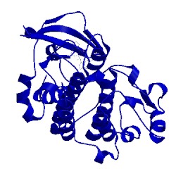 Image of CATH 5eyc