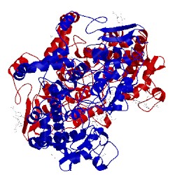 Image of CATH 5f19