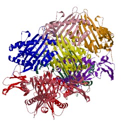 Image of CATH 5f1i