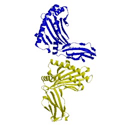 Image of CATH 5f1n