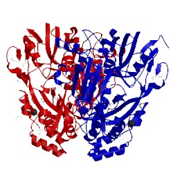 Image of CATH 5f1q