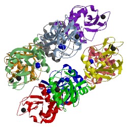 Image of CATH 5f2q