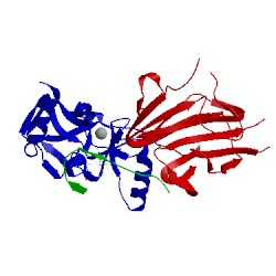 Image of CATH 5f6l