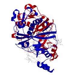 Image of CATH 5f8a