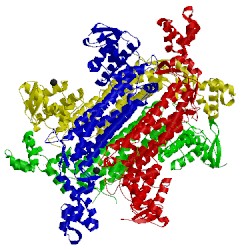 Image of CATH 5f92