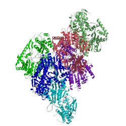 Image of CATH 5f98