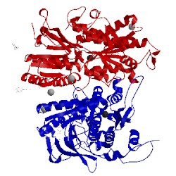 Image of CATH 5fbh