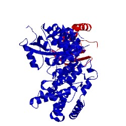 Image of CATH 5fbl