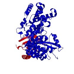 Image of CATH 5fbv