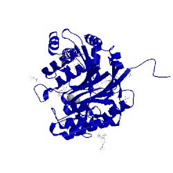 Image of CATH 5fc6