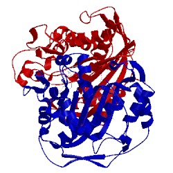 Image of CATH 5fct