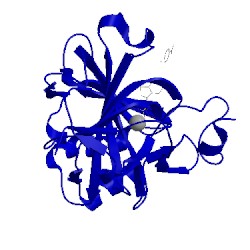 Image of CATH 5fdc