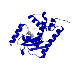 Image of CATH 5fdg