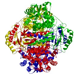 Image of CATH 5fgj