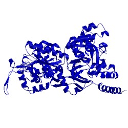 Image of CATH 5fgz