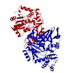 Image of CATH 5fhd