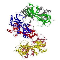 Image of CATH 5fhk