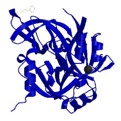 Image of CATH 5fht