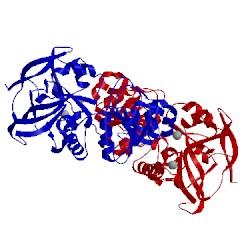 Image of CATH 5fi5
