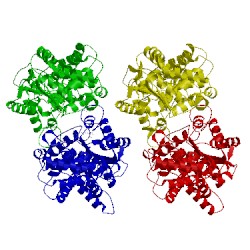 Image of CATH 5fi7