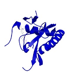 Image of CATH 5fit