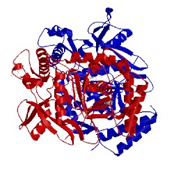 Image of CATH 5fj2