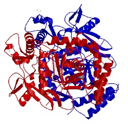 Image of CATH 5fj3