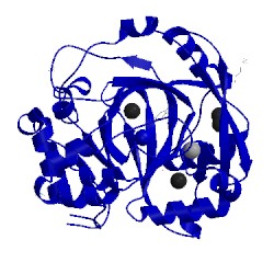 Image of CATH 5fjk