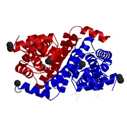 Image of CATH 5fkk