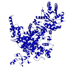 Image of CATH 5fku