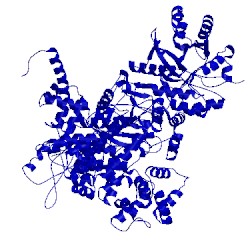 Image of CATH 5fkv