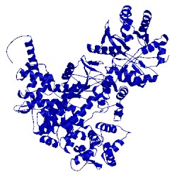 Image of CATH 5fkw