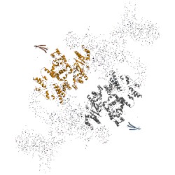Image of CATH 5flc