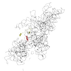 Image of CATH 5flx