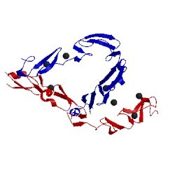 Image of CATH 5fma