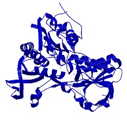 Image of CATH 5fmh
